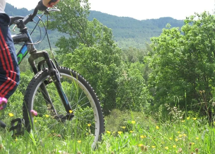 Evenia Monte Alba Cerler